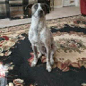 Meet your Posher, Osvaldo